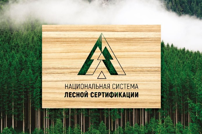 Сыктывкарский ЛПК поддержит проведение семинара «Национальная система лесной сертификации для устойчивого лесопользования России»