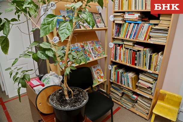 Как в Коми преображают библиотеки в новое культурное пространство