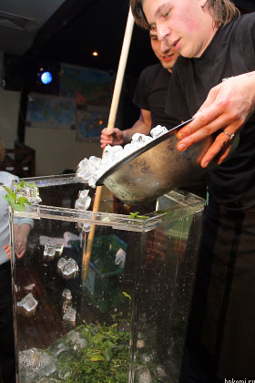 IMG_5291.jpg IMG_5291.jpg