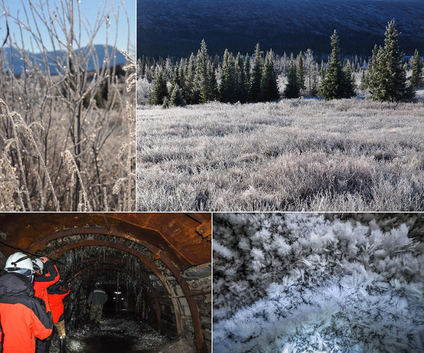 037591ed44a56f20b0decf3c76957796_small.jpeg 037591ed44a56f20b0decf3c76957796_small.jpeg