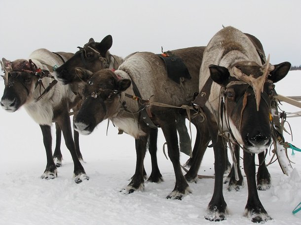 IMG_1060.jpg IMG_1060.jpg