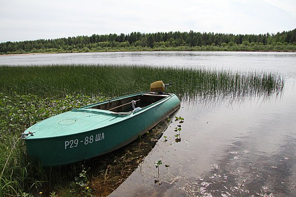 IMG_8659.jpg IMG_8659.jpg