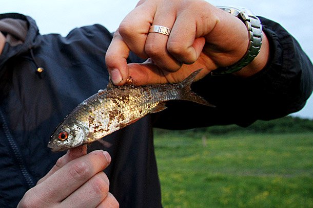 IMG_8885.jpg IMG_8885.jpg