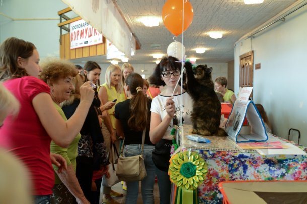 SAN_1046.jpg SAN_1046.jpg