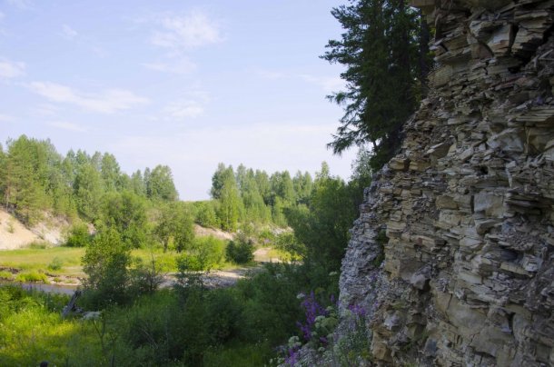 _DSC6535.jpg _DSC6535.jpg