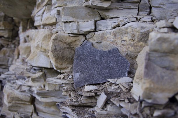 _DSC6550.jpg _DSC6550.jpg