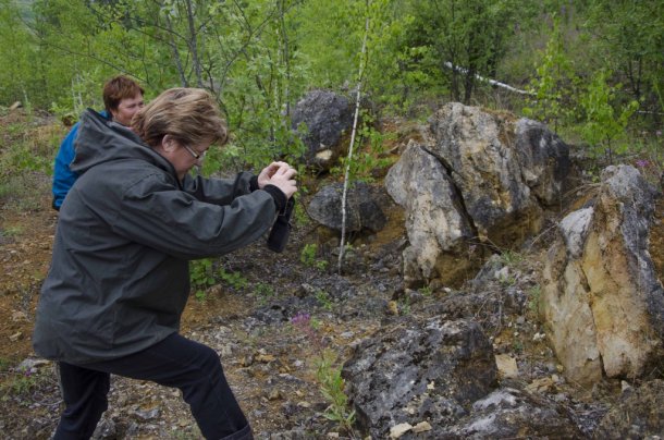 _DSC7553.jpg _DSC7553.jpg