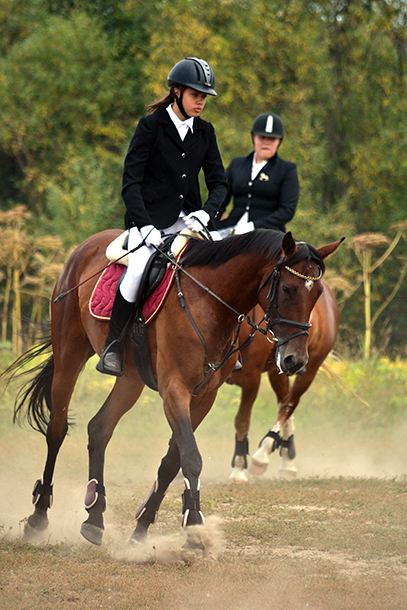 DSC_0018.jpg DSC_0018.jpg