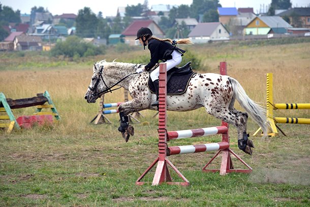 DSC_0052.jpg DSC_0052.jpg