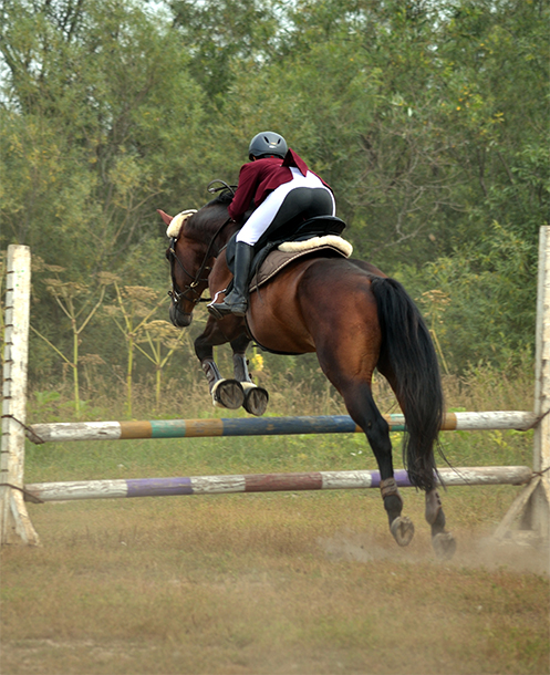 Untitled-1.jpg Untitled-1.jpg