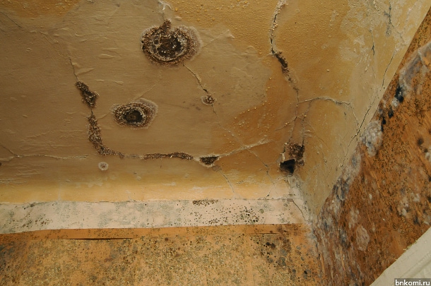 KIR_0313.jpg KIR_0313.jpg