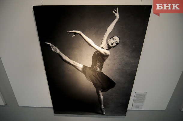 KIR_4695.jpg KIR_4695.jpg