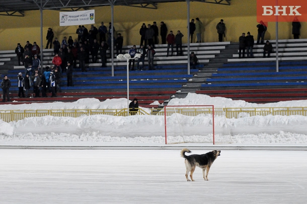 KIR_9538.jpg KIR_9538.jpg