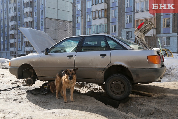 ANT_0524.jpg ANT_0524.jpg