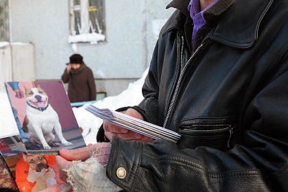 IMG_1982.jpg IMG_1982.jpg