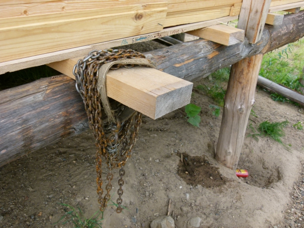 ostalos-ot-sobaki.JPG ostalos-ot-sobaki.JPG