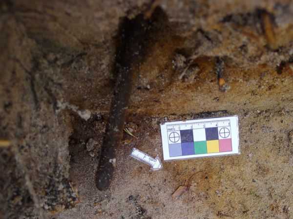 ezhol_02_pre.jpg ezhol_02_pre.jpg