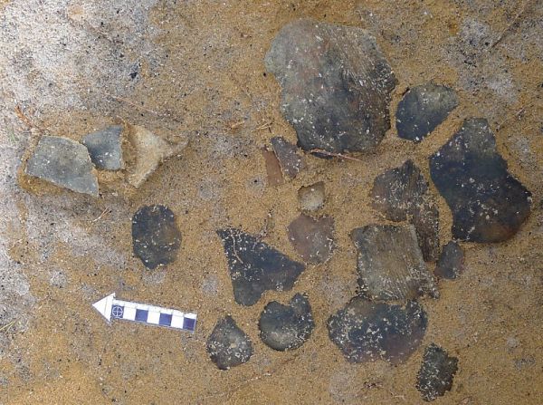 ezhol_05_pre.jpg ezhol_05_pre.jpg