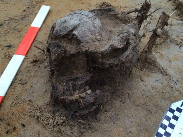 ezhol_06_pre.jpg ezhol_06_pre.jpg