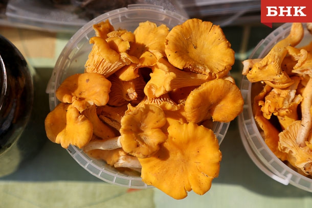 ANT_7497.jpg ANT_7497.jpg