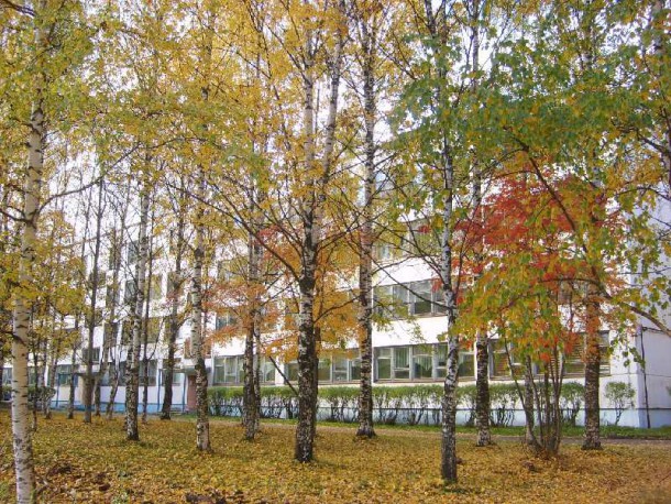 В сыктывкарской школе № 38 откроется Технический центр