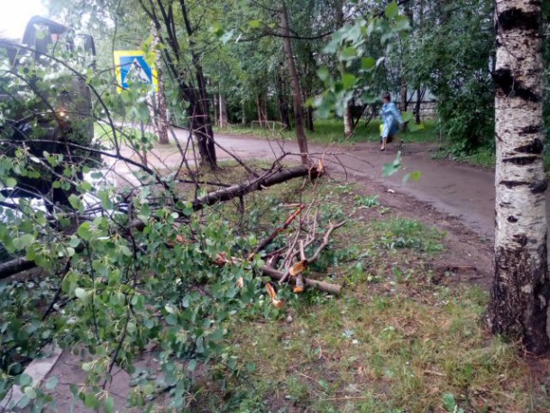 Из-за сильного ветра в Сыктывкаре искрили провода