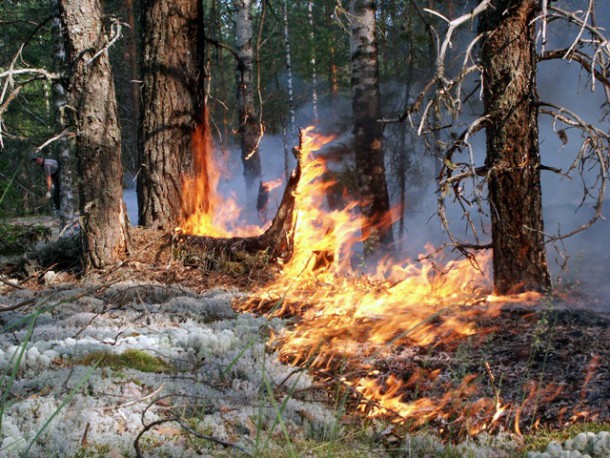 В Коми – 13 действующих лесных пожаров
