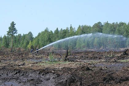 IMG_1023.jpg IMG_1023.jpg