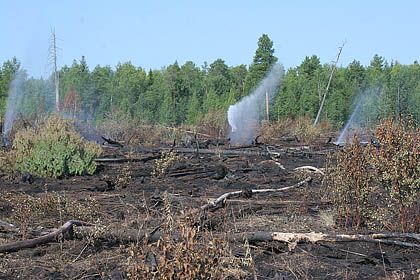 IMG_1034.jpg IMG_1034.jpg