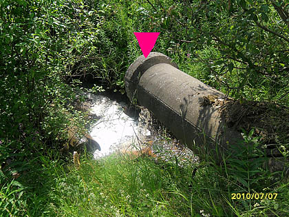 image003.jpg image003.jpg