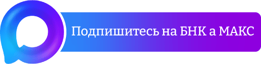 БНК в МАКС