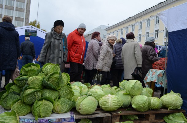 В Коми назвали лучших агрономов и молочников