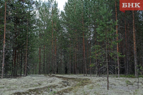 В Коми пропал житель Глубинки