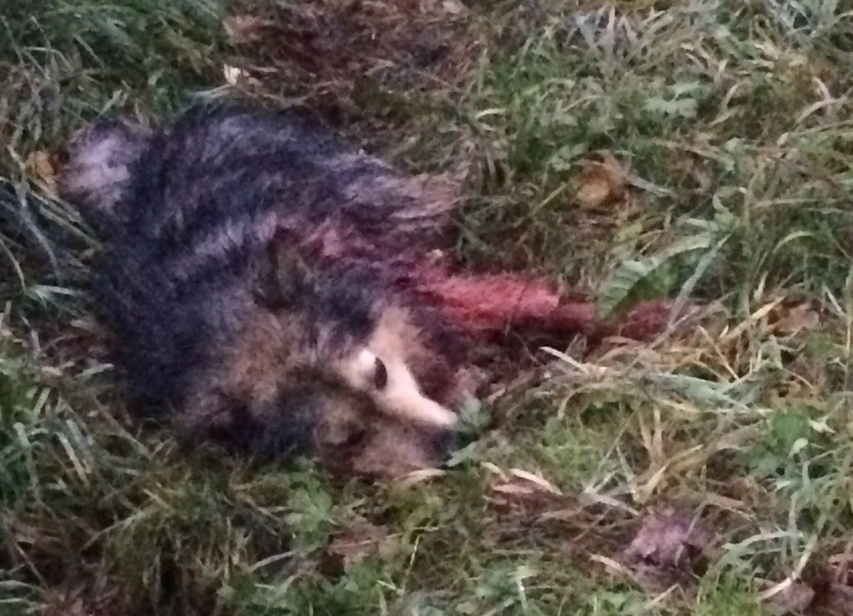 _x8_lQKSlto.jpg _x8_lQKSlto.jpg