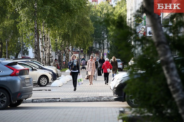 В Коми продолжат опоясывать города лесами 