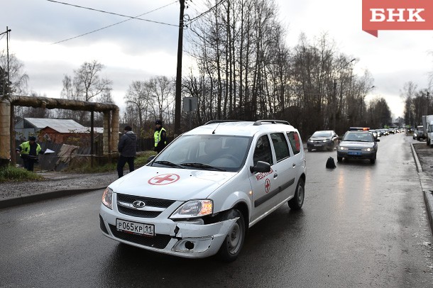  В Сыктывкаре собаки не поделили дорогу со скорой