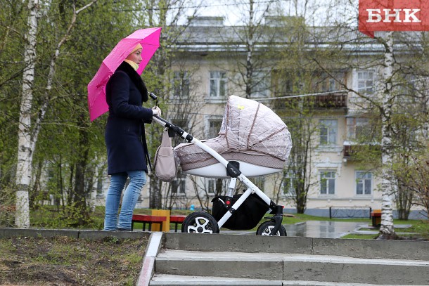 В сыктывкарском парке появится место для кормления грудью