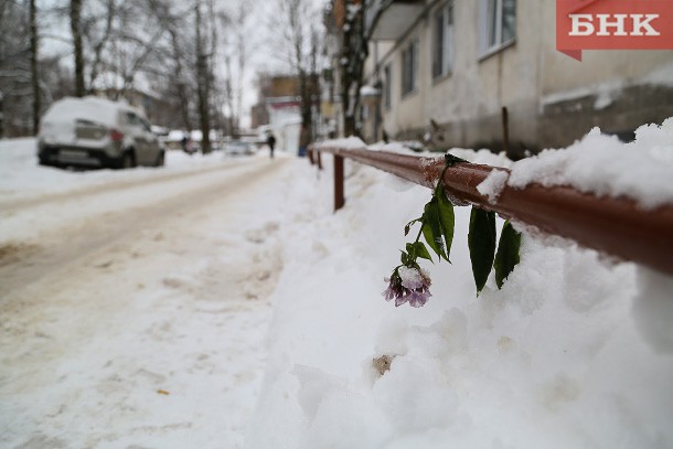 На юге Коми будет холоднее, чем на севере