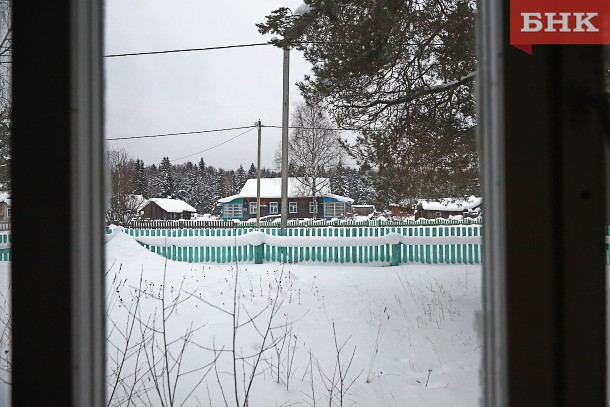 По Койгородку бегает неадекватный волк