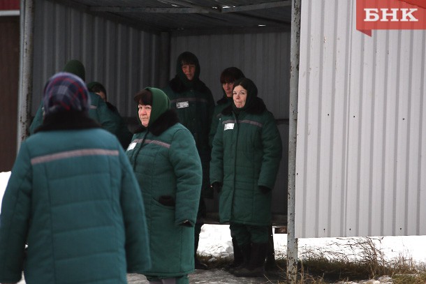 Итоги недели на БНК: борьба со снюсом, секрет поедания перепелиных яиц и один день в женской колонии