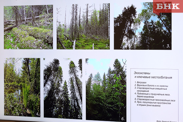 BOB_2230.jpg BOB_2230.jpg