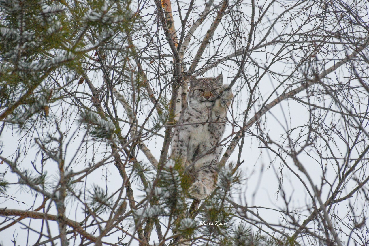 cfE64clOEYU.jpg cfE64clOEYU.jpg