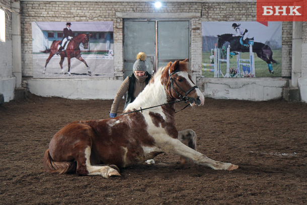 IMG_4575.jpg IMG_4575.jpg