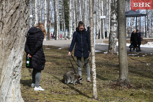 BOB_0976.jpg BOB_0976.jpg