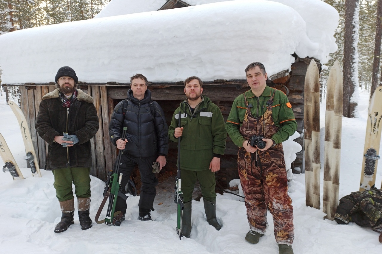 
Северные олени ищут убежище от волков и людей в Печоро-Илычском заповеднике