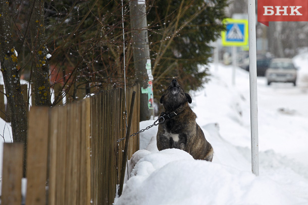 BOB_8253.jpg BOB_8253.jpg