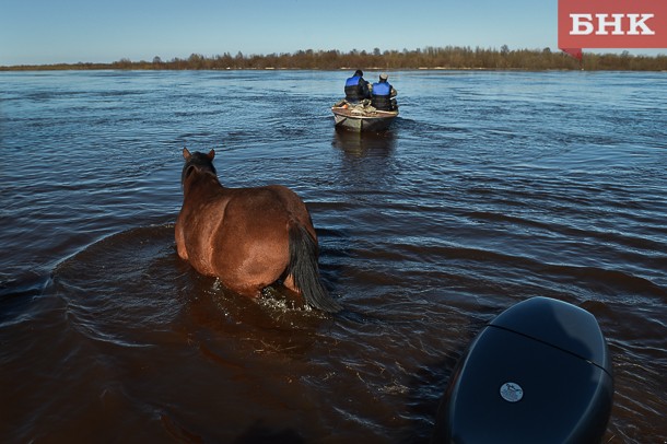 Где в Коми ожидается опасный уровень воды