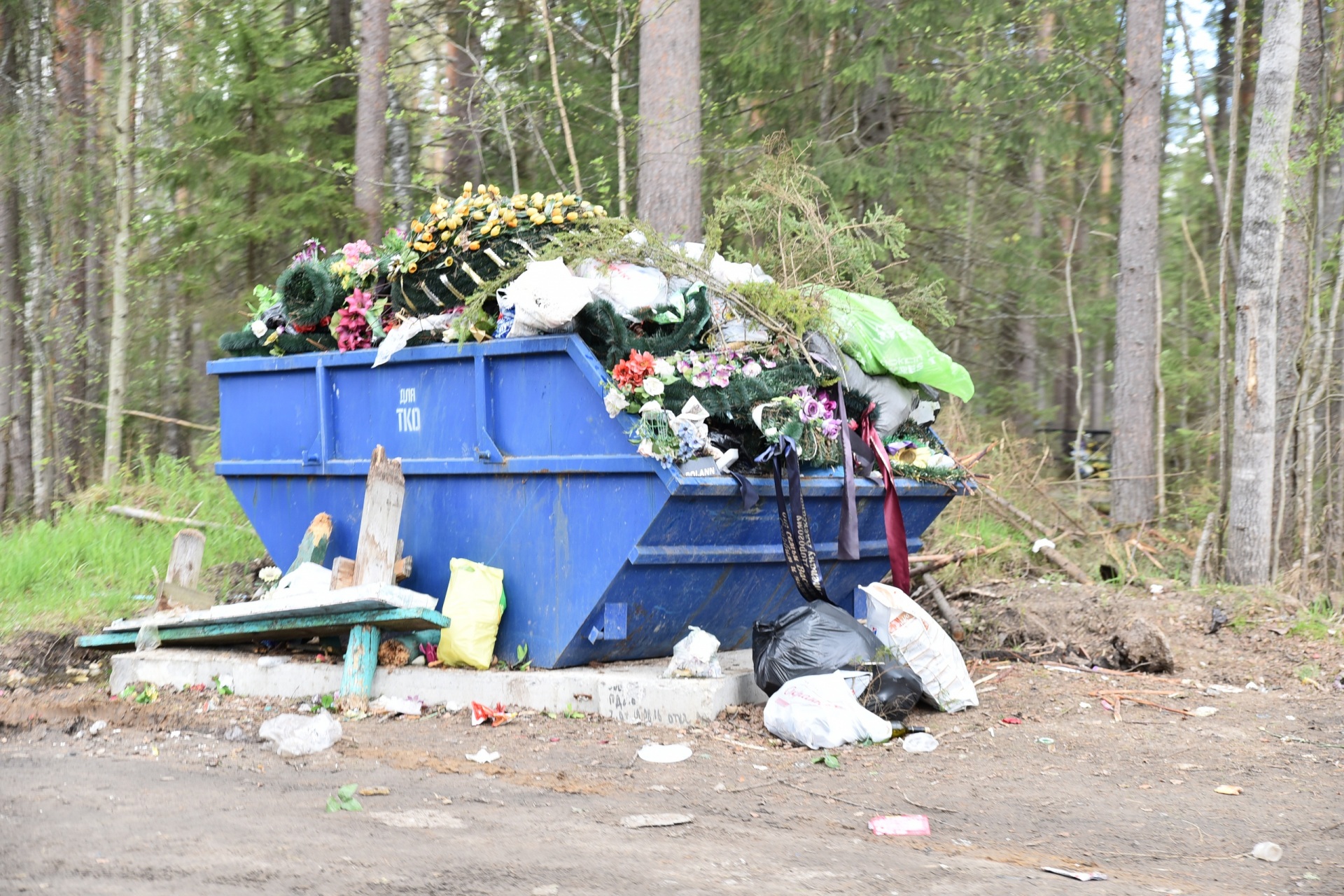 IzLgX00ntl4.jpg IzLgX00ntl4.jpg