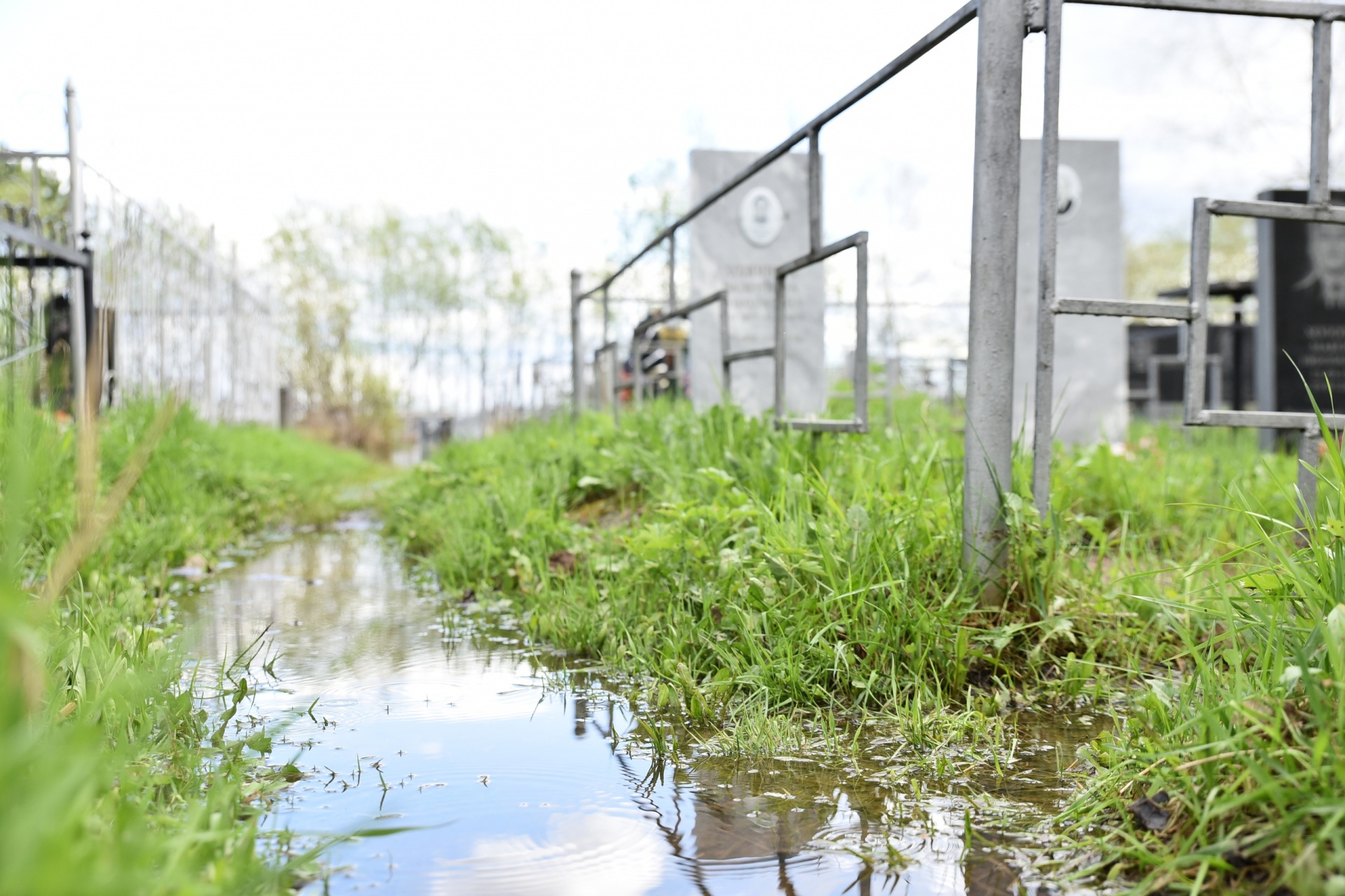 t5aFRCpcGFE.jpg t5aFRCpcGFE.jpg