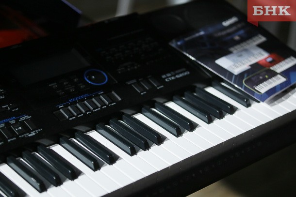 Киберпреступники оставили 18-летнюю воркутинку без цифрового пианино